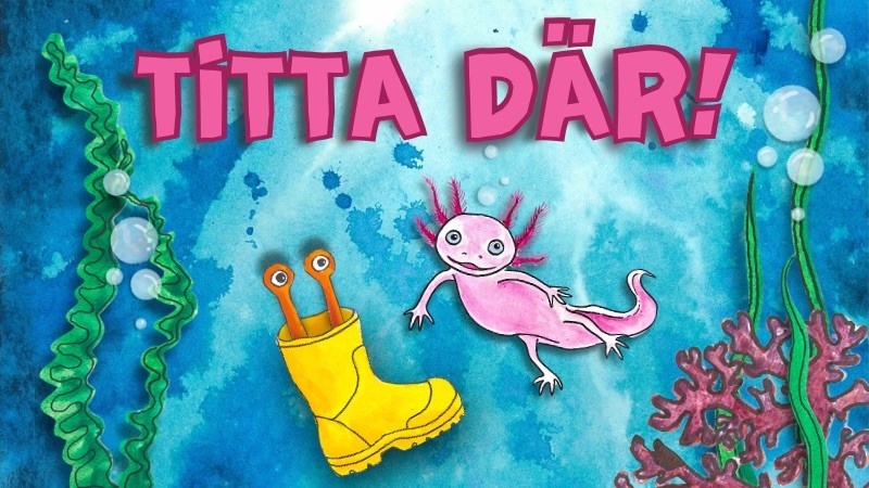 Illustration: Sara Kander