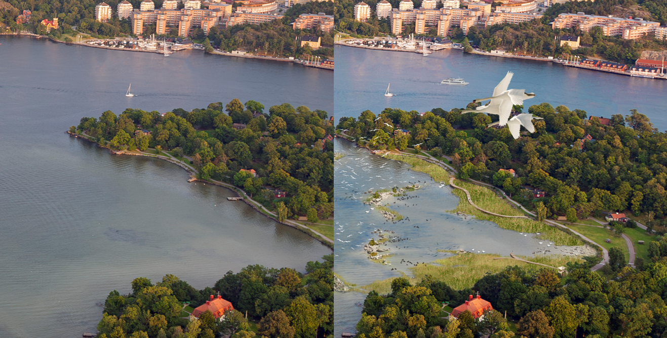 Två bilder där den första visar hur Isbladsviken ser ut idag, endast en vik. Andra bilden visar hur det är tänkt att bli, men stenar och växter som bildar en lagun