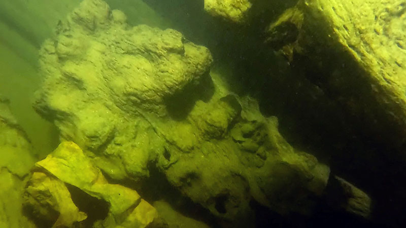 Undervattensfoto av lejonskulptur i trä från skeppet Äpplet. 