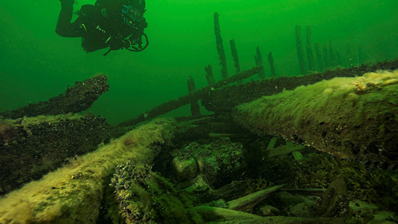 Undervattensfoto visar dykare och skeppsvrak med övervuxet trä. 