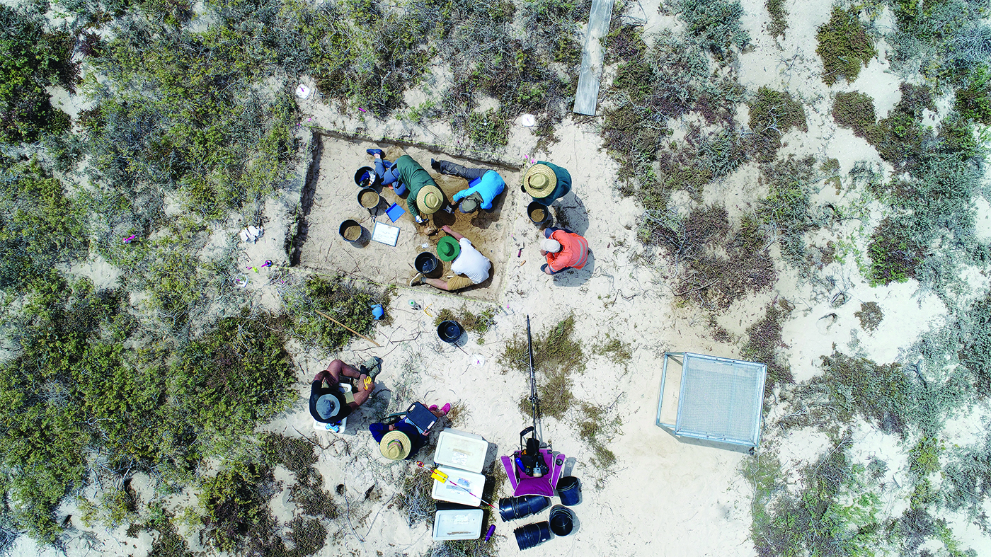 Archaeologists at work Paterson.jpg