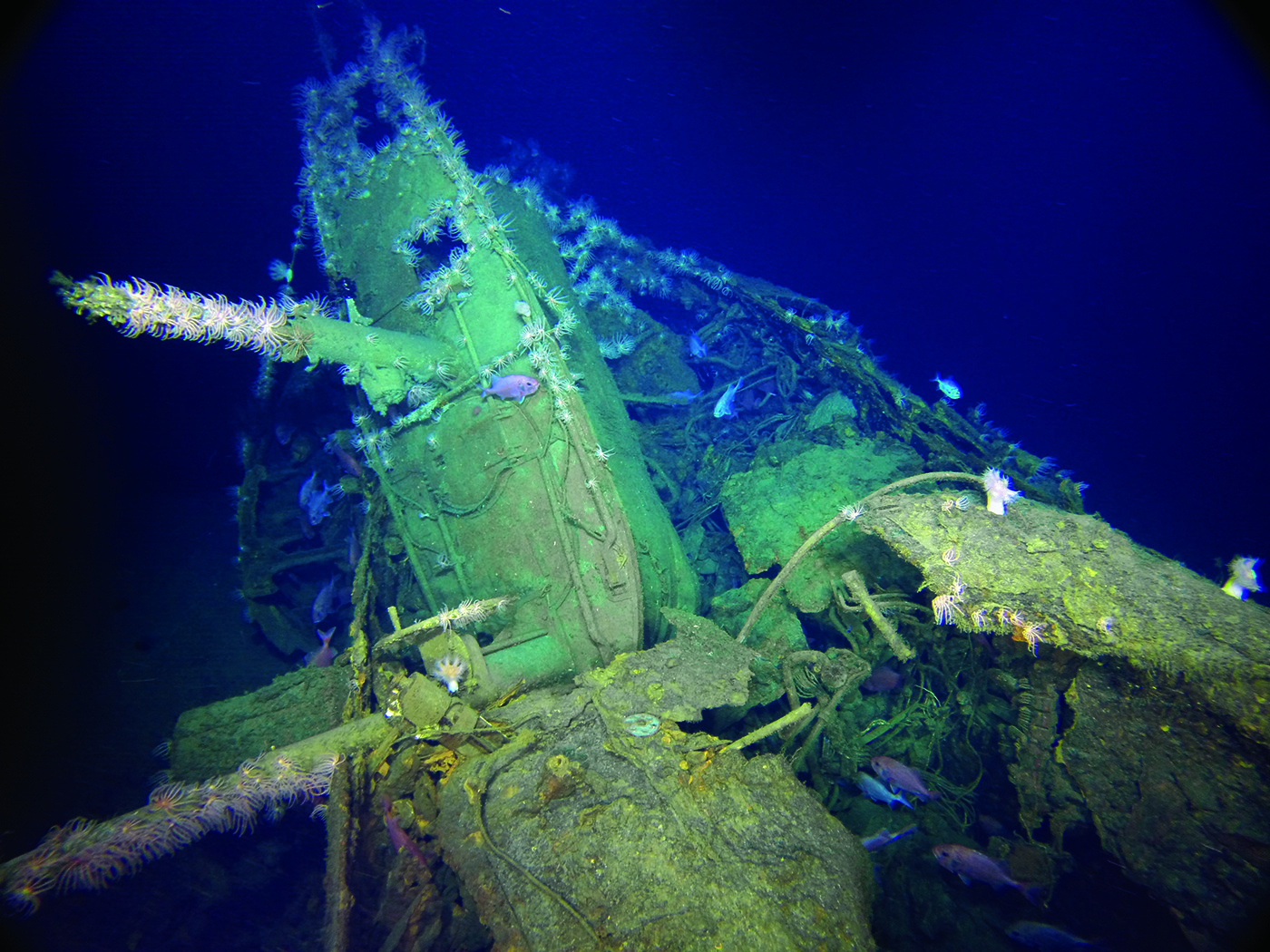 Collapsed Fin and Destroyed Control Room.jpg