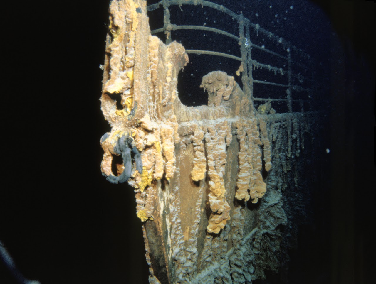 bow1.jpg